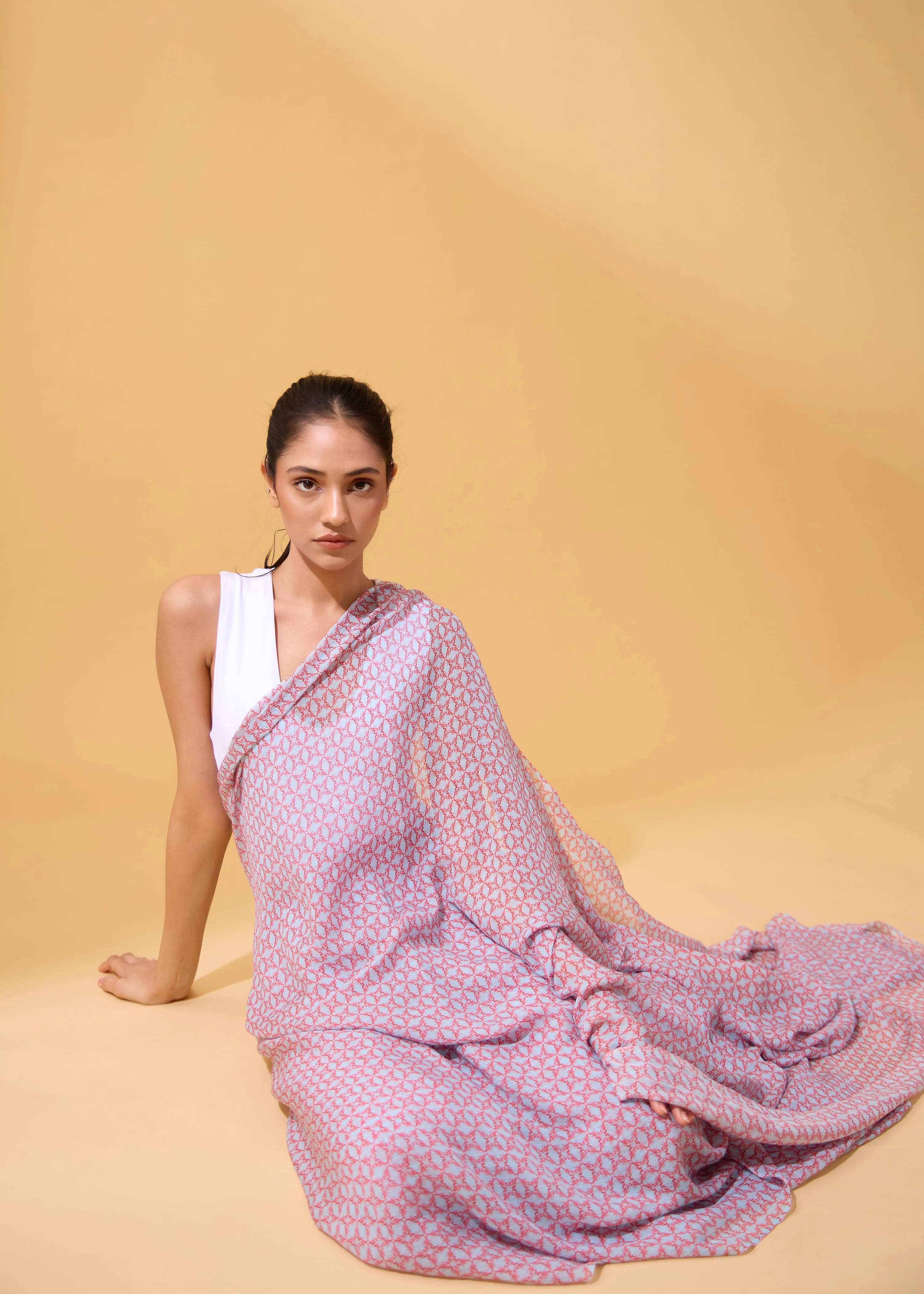 Lobster Sari in Chiffon