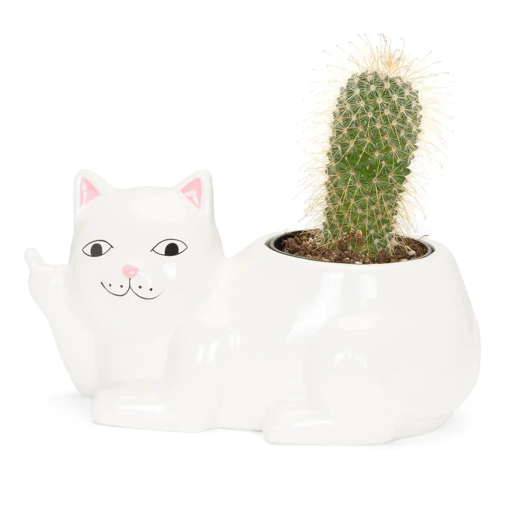 Lord Nermal Ceramic Planter