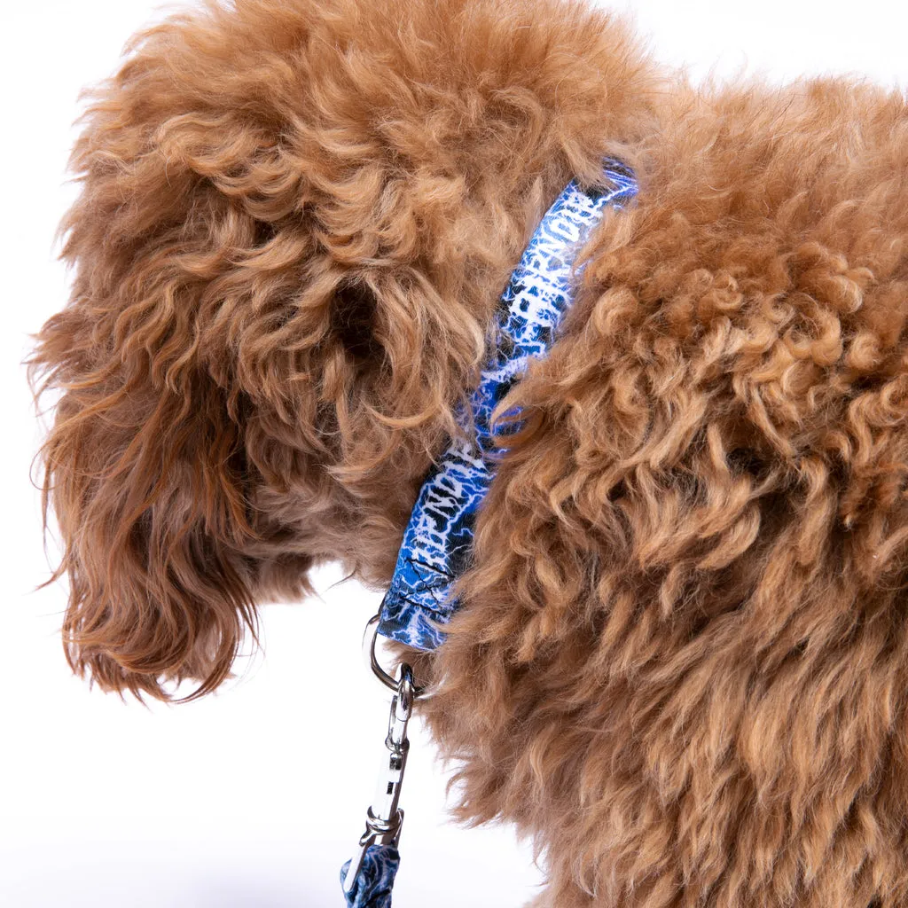 Nikola Pet Collar